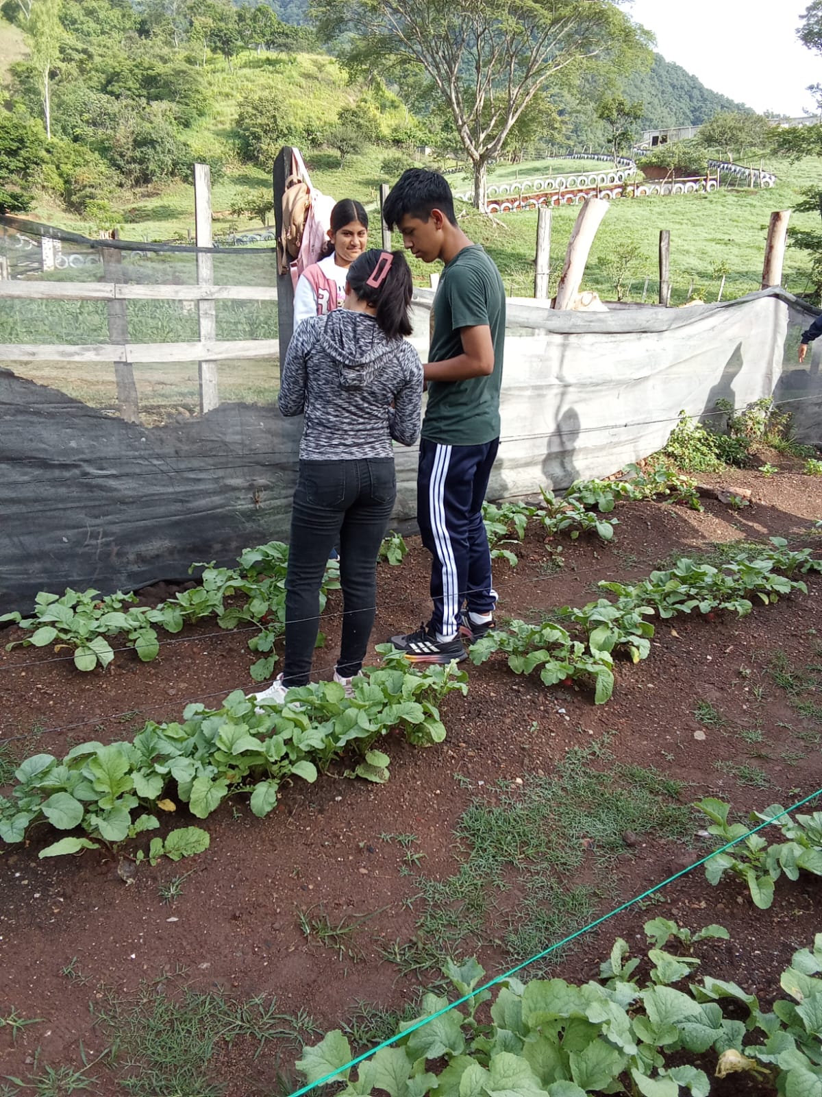 Youth leaders
